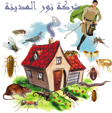 شركة مكافحة حشرات بالباحة
