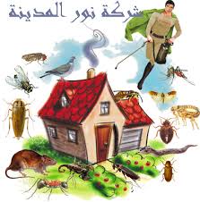شركة رش مبيد بالرياض