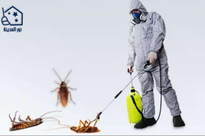 شركة مكافحة حشرات بجازان