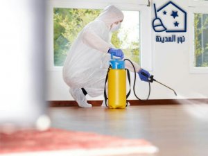 افضل شركات مكافحة الحشرات بجدة